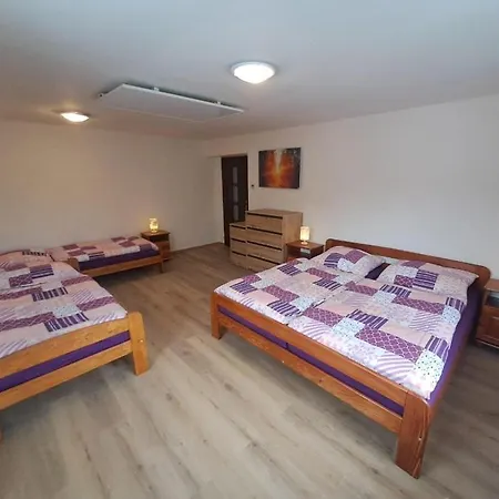 16 Villa Vilemov (Decin)