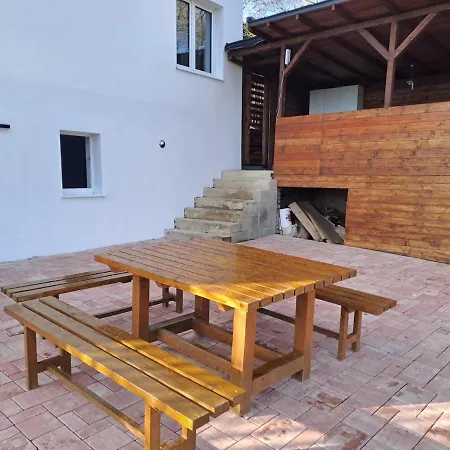 16 Villa Vilemov (Decin)