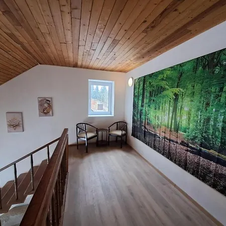 16 Villa Vilemov (Decin)